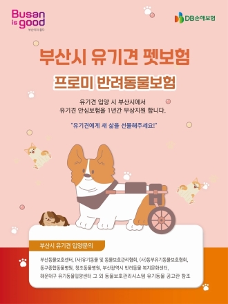 “올해 유기견 입양했다면 신청하세요”… 부산시, 1년 무상 펫보험 지원 본격화